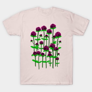 Globe amaranth flowers T-Shirt